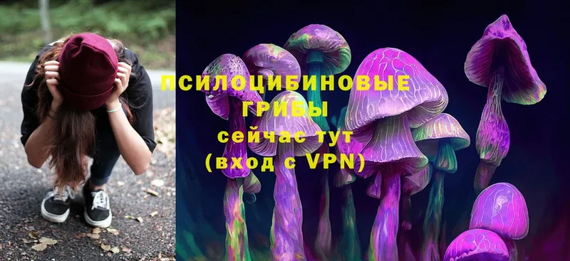 Псилоцибиновые грибы Cubensis  Сольвычегодск 